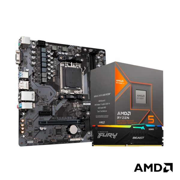 COMBO AMD RYZEN 5 8600G